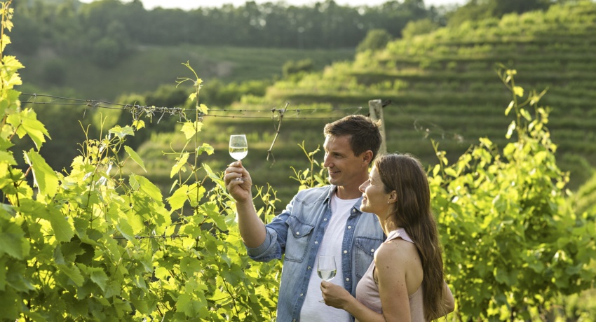 GRUWEIS 1 - Wein und Wellness in der Slowenischen Steiermark